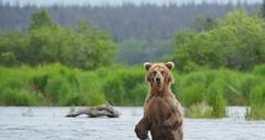 Lake Clark National Park and Preserve