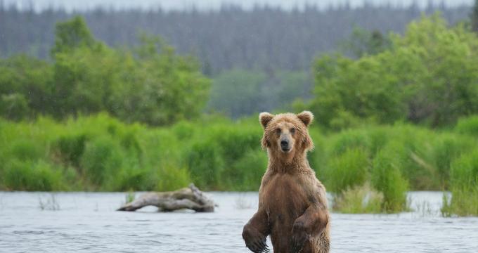 Lake Clark National Park and Preserve