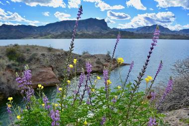 Cattail Cove State Park