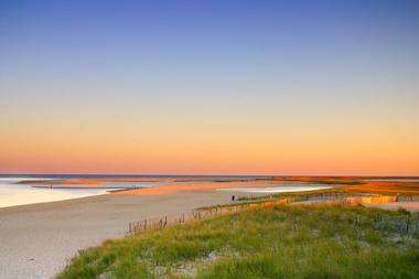 Cape Cod