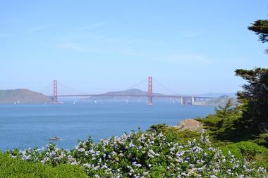 Valentine's Day From San Francisco: Lands End