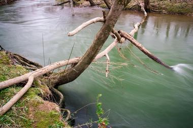 Valentine's Day In Huntsville: Green Mountain Nature Trail