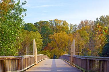 In Washington DC: Theodore Roosevelt Island