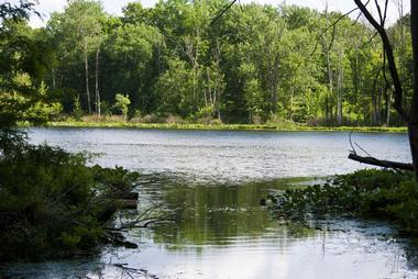 Chain O' Lakes State Park