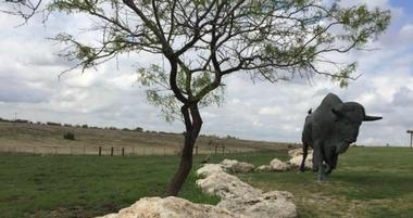 Lubbock Lake National Historic Landmark