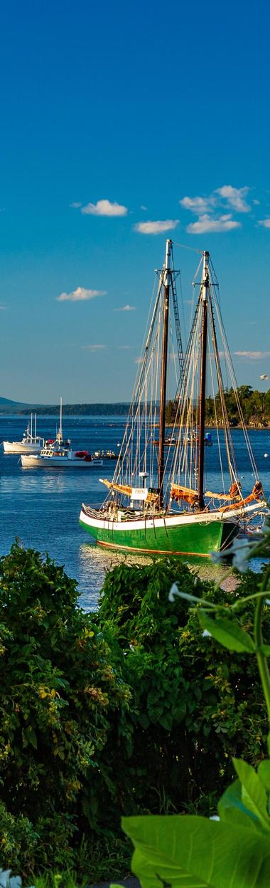 Bar Harbor