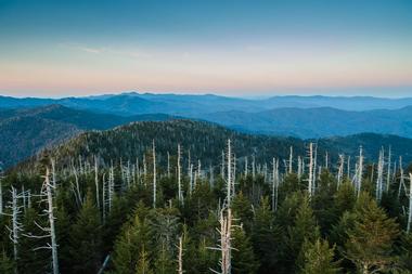 Great Smoky Mountains