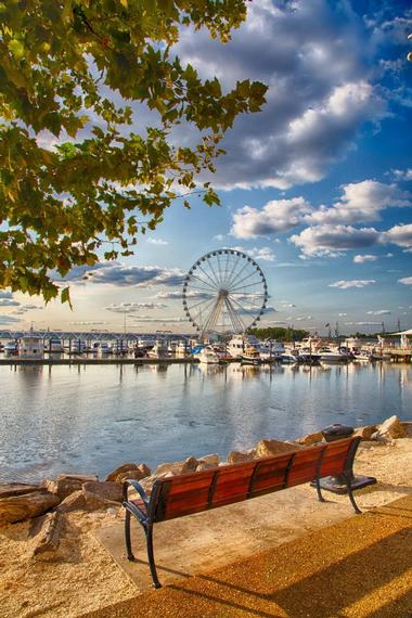 Best Spots along the Potomac River in Washington D.C.