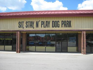 Sit, Stay, N' Play