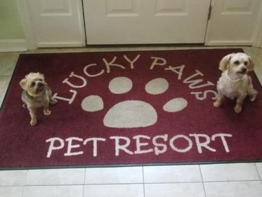 Lucky Paws Pet Resort