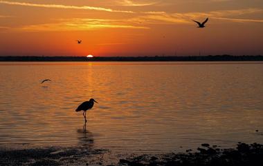 Honeymoon Island