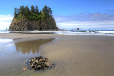 Olympic National Park