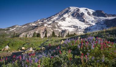 Mount Rainier National Park