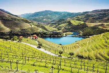 Douro Valley