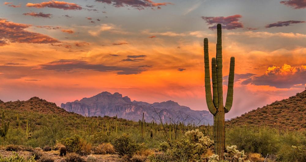 Best Southwest Vacations