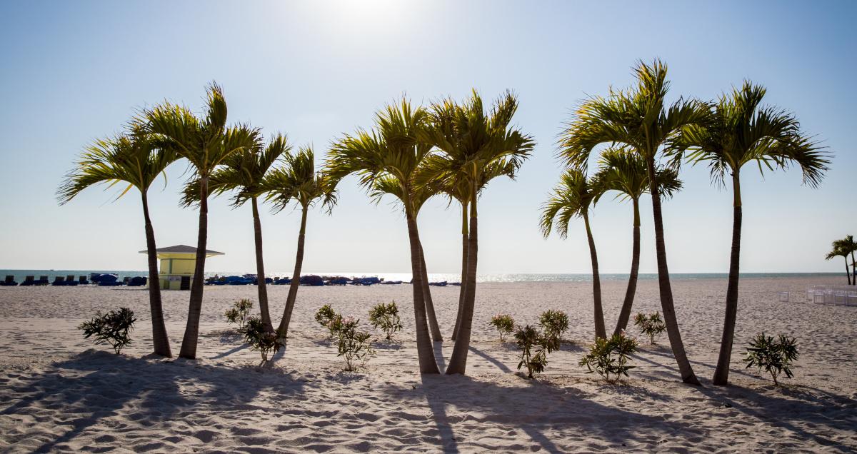 St Petersburg FL Beaches