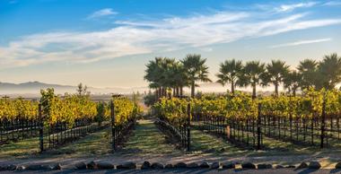 Sonoma, California