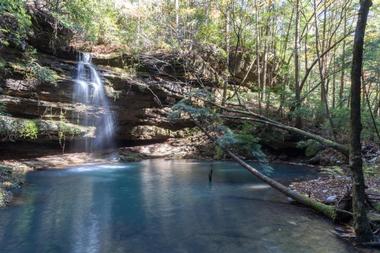 Bankhead National Forest