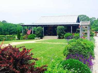 Hidden Meadow Vineyard and Winery