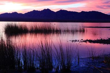 Lake Havasu State Park