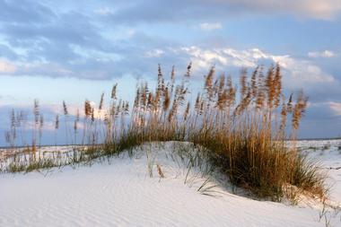 Gulf State Park