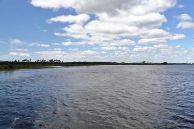 Bald Point State Park Near Tallahassee, FL