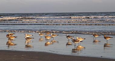 Kiawah Beachwalker Park, Kiawah Island, SC