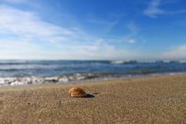 Rocky Neck State Park