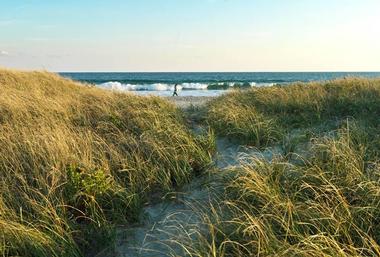 Goosewing Beach Preserve, Rhode Island