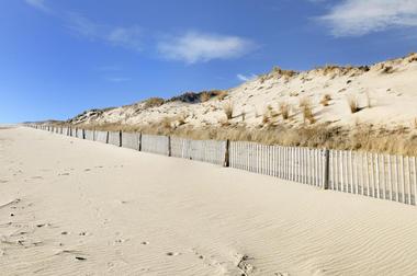 Cape Henlopen State Park