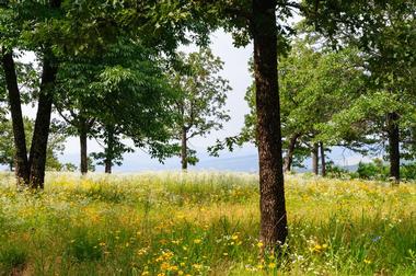 Mount Nebo