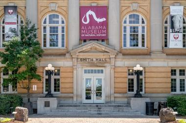 Alabama Museum of Natural History - 50 min day trip from Birmingham, AL