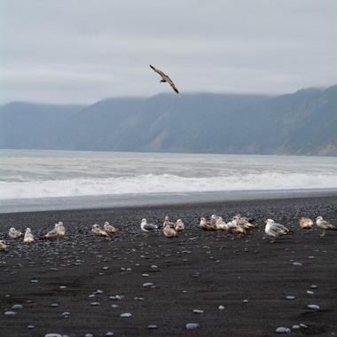 Black Sands Beach, California