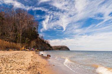 Calvert Cliffs State Park