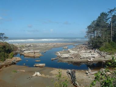 Kalaloch Beach, Olympic National Park, Washington