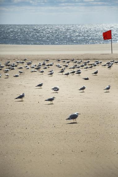 St. George Island State Park