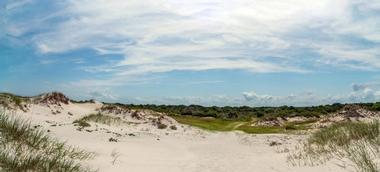 Cumberland Island National Seashore