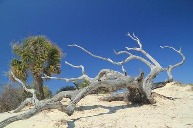 Sea Camp Beach, Cumberland Island, Georgia