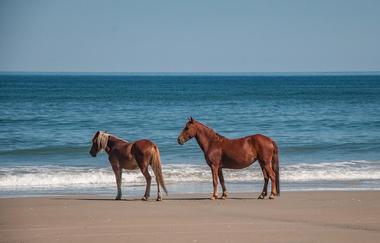 Corolla Beach, Outer Banks, NC