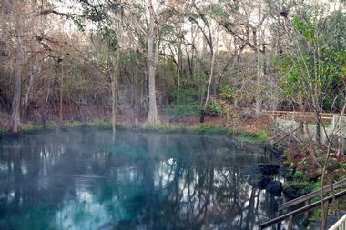 Leon Sinks Geological Area