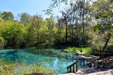 Ichetucknee Springs State Park