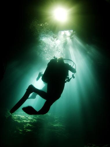 Devil's Den, Williston, Florida