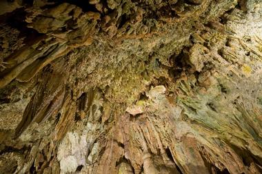 Florida Caverns State Park