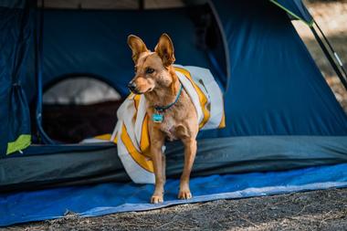 Camp at Crater Lake National Park, Oregon