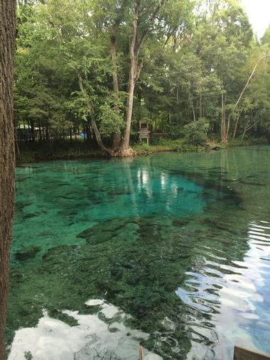 Ginnie Springs