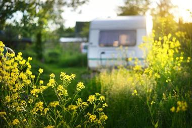 Pine Tree Campground, Delaware