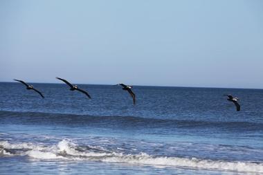 Canova Beach Park (Indialantic)