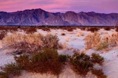 Borrego Springs (75min)