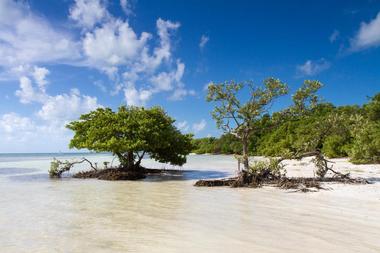 Anne’s Beach (Islamorada)