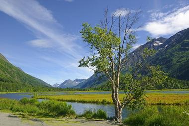 Chugach National Forest